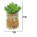 Vaso com Suculenta Folha Baixa Verde Escuro 10x7 cm - D'Rossi