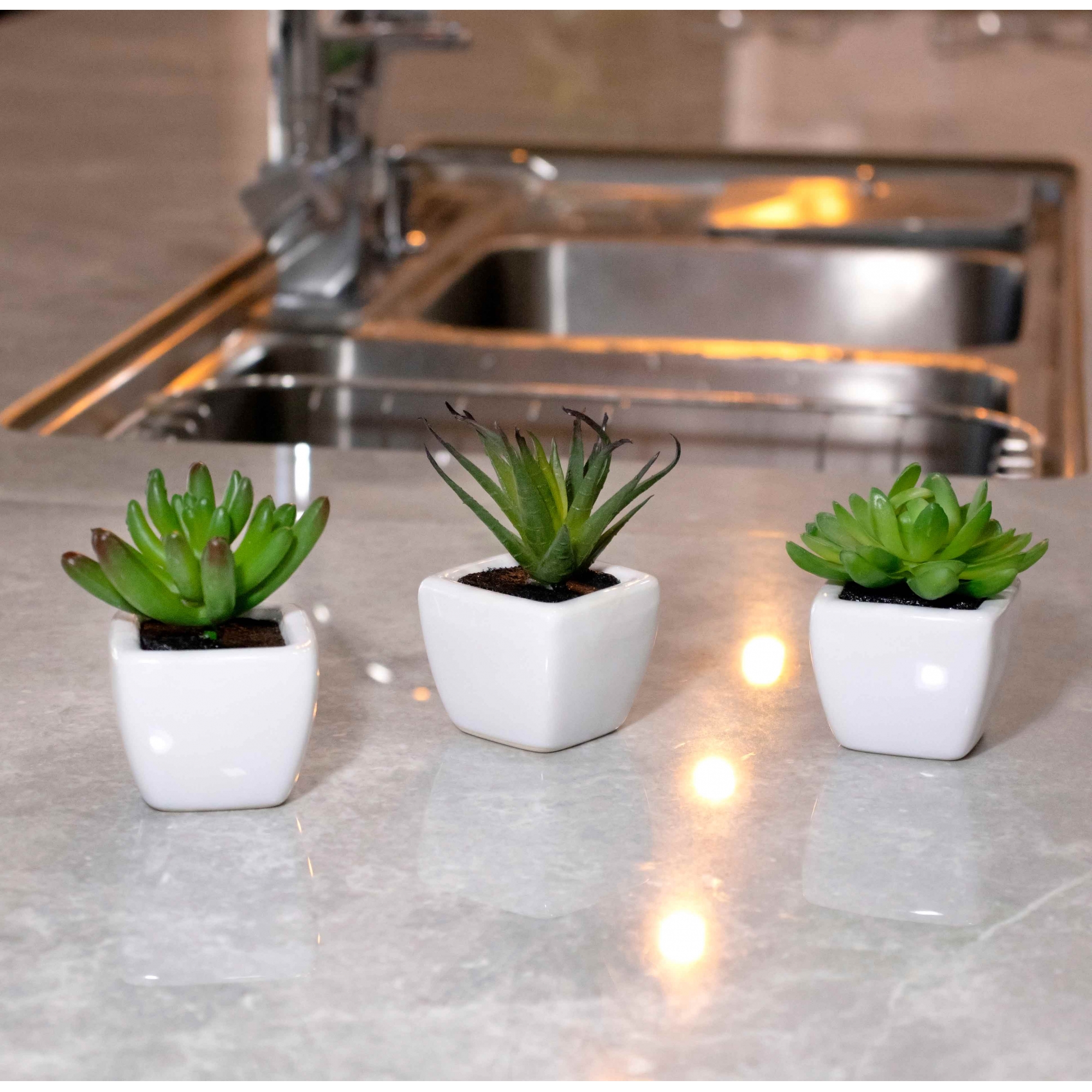 Kit 06 Suculentas Artificial Sortida Vaso Branco 6x6 cm - D'Rossi