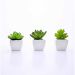Kit 06 Suculentas Artificial Sortida Vaso Branco 6x6 cm - D'Rossi