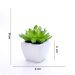 Kit 06 Suculentas Artificial Sortida Vaso Branco 6x6 cm - D'Rossi