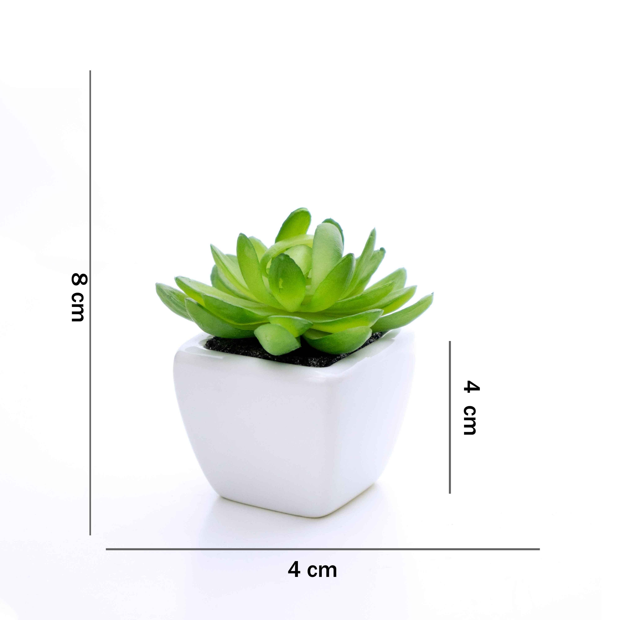 Kit 06 Suculentas Artificial Sortida Vaso Branco 6x6 cm - D'Rossi