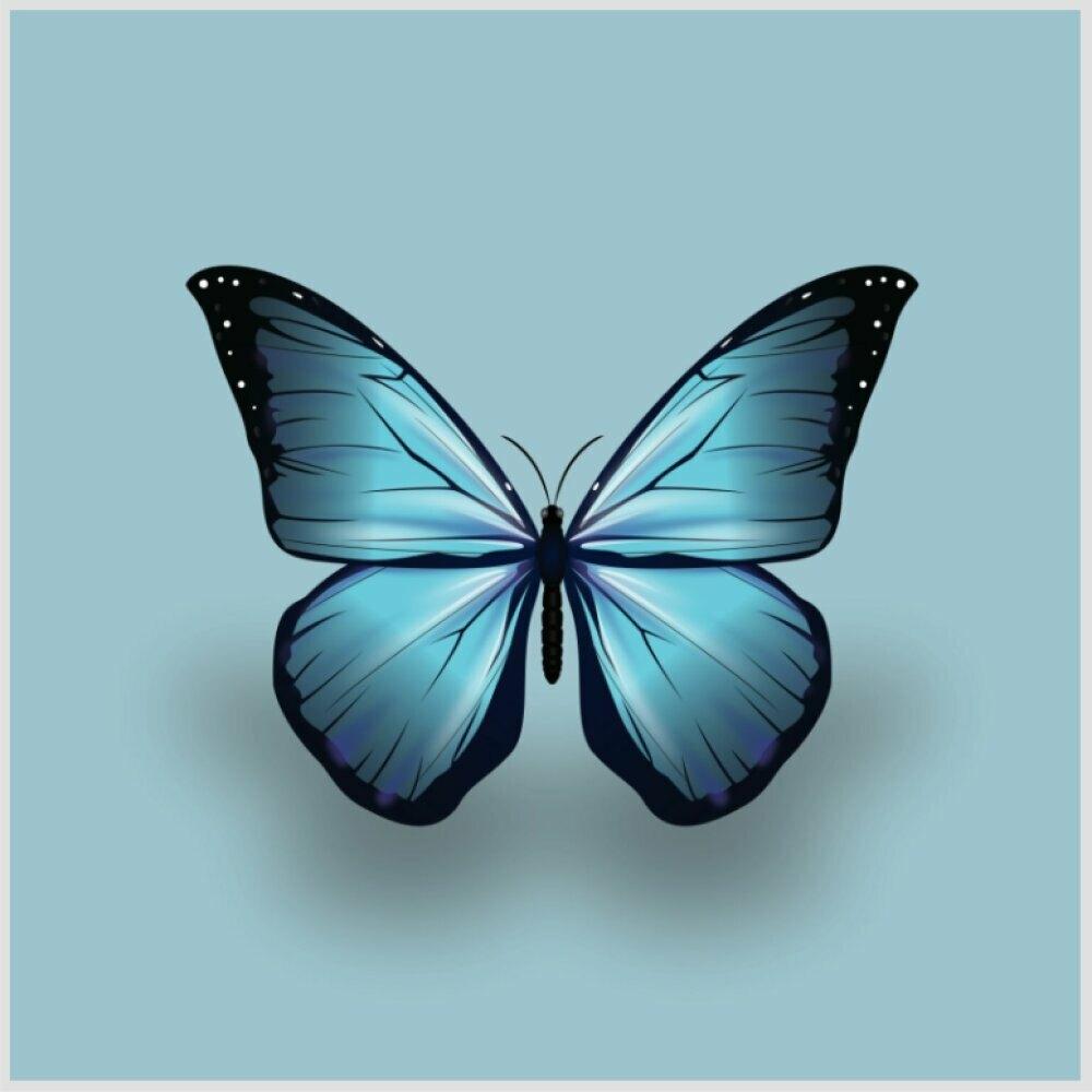 Quadro Borboleta Azul Tela Moldura Preta 40X40Cm