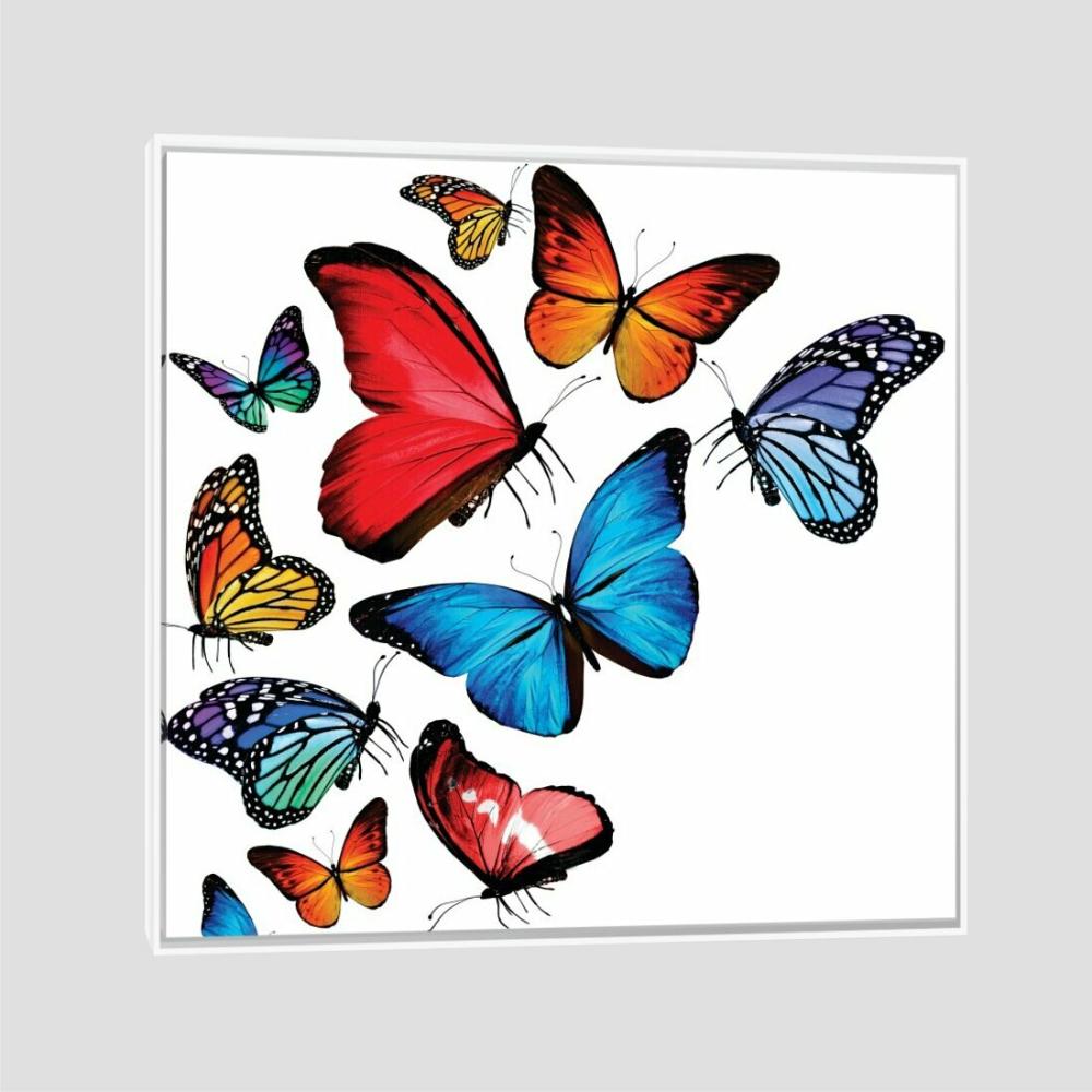 Quadro Borboletas Coloridas Tela Moldura Branca 40X40Cm