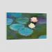 Quadro Claude Monet Nympheas Tela Moldura Branca 45X30Cm