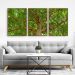 Quadro Composição Tronco Moldura Bege 3X 95X63Cm