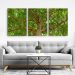 Quadro Composição Tronco No Chassi 3X 95X63Cm