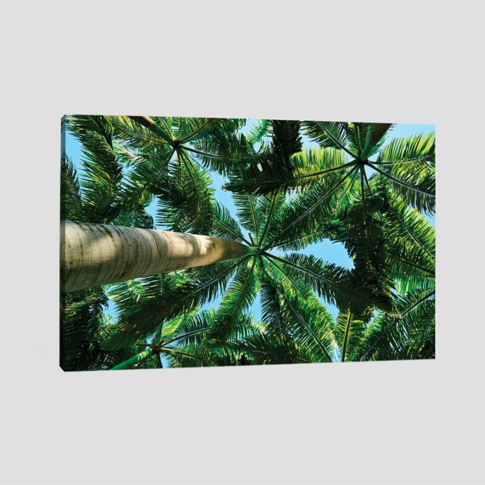 Quadro Coqueiros Tela No Chassi 95X63Cm