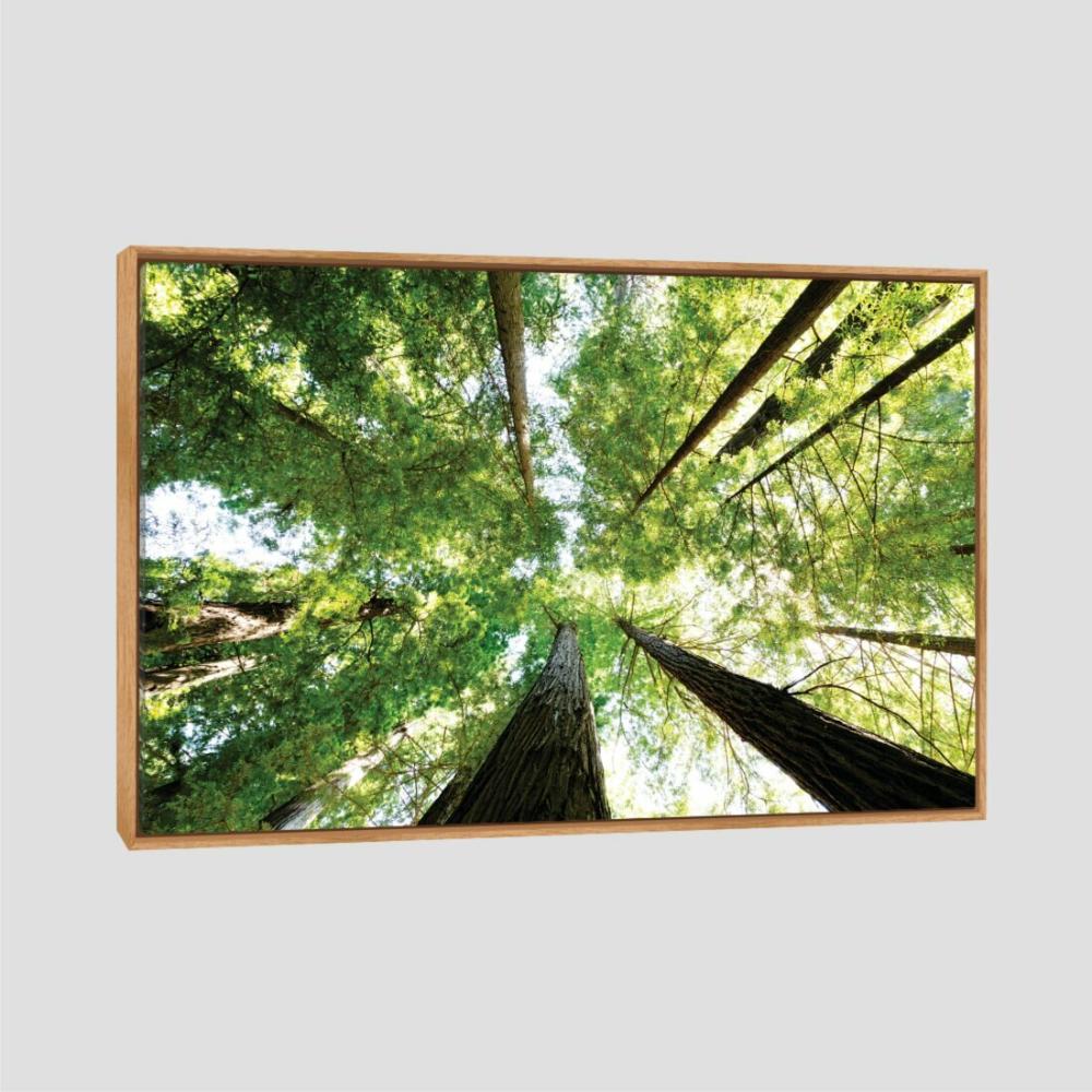 Quadro Paisagem Folhas E Céu Tela Moldura Bege 120X80Cm