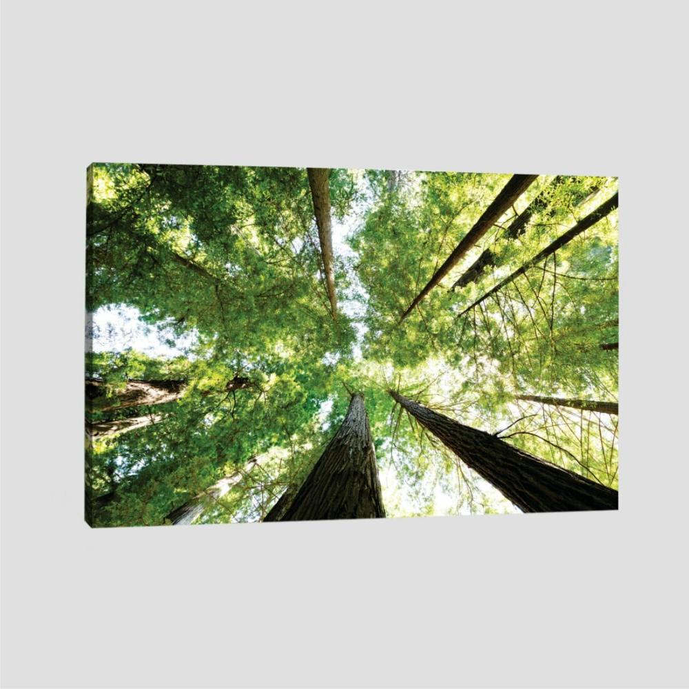 Quadro Paisagem Folhas E Céu Tela No Chassi 120X80Cm