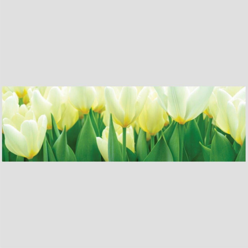 Quadro Panorâmico Tulipas Brancas 100X30Cm Moldura Interna