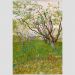 Quadro Van Gogh The Flowering Orchard Tela Moldura Branca 95X63Cm