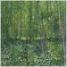 Quadro Van Gogh Trees And Undergrowth Tela No Chassi 80X80Cm