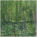 Quadro Van Gogh Trees And Undergrowth Tela No Chassi 80X80Cm