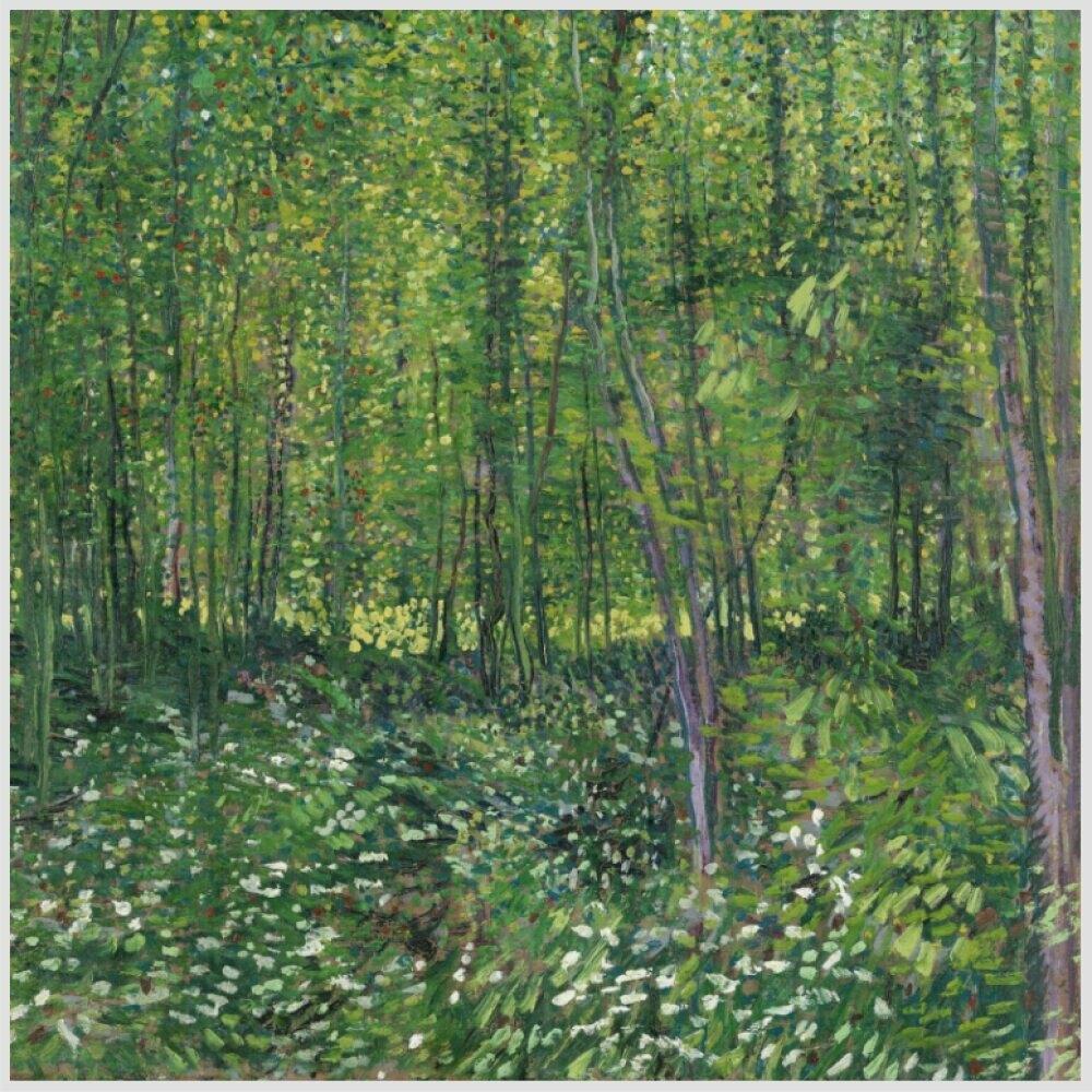 Quadro Van Gogh Trees And Undergrowth Tela No Chassi 80X80Cm