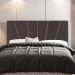 Cabeceira Cama Box Casal Queen Size Dallas 160cm Veludo Marrom - Desk Design