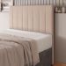 Cabeceira Cama Box Casal Queen Size Ivana 160cm Veludo Bege - Desk Design