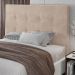 Cabeceira Cama Box Casal Queen Size Luana 160cm Veludo Bege - Desk Design