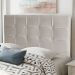 Cabeceira Estofada Cama Box Casal Queen Size Fiorella 160cm Suede Marfim - Desk Design