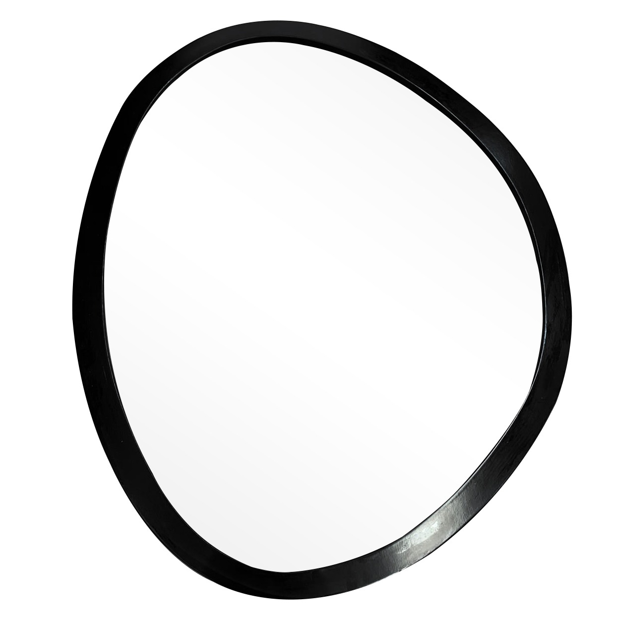 Espelho Decorativo Orgânico Preto 58x70 cm Eg 