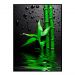 Quadro Decorativo Barcelona  Verde &amp; Gotas Vd 50x70 cm 