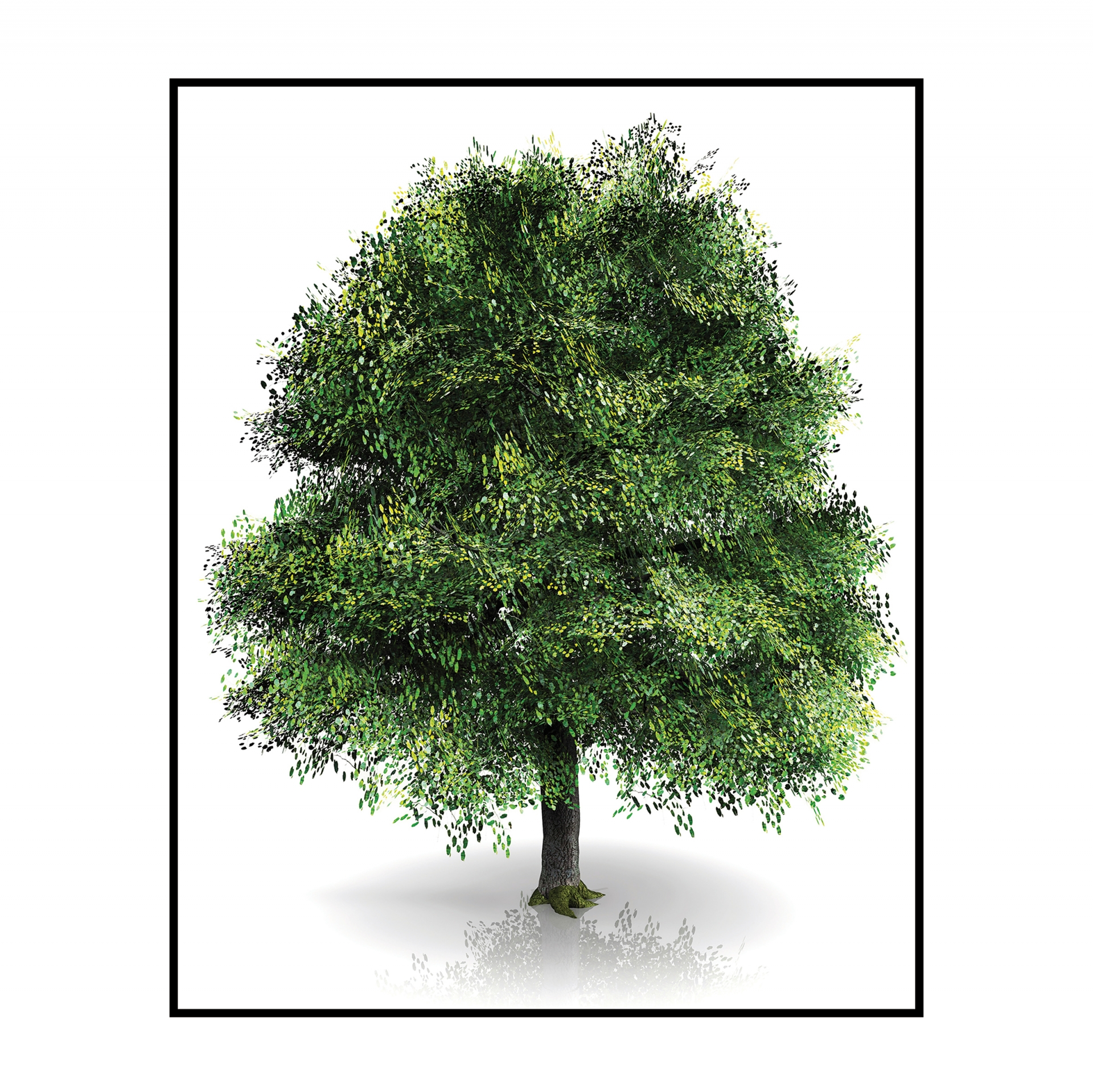 Quadro Decorativo Barcelona Arvore Png 40x50 cm 