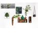 Quadro Decorativo Barcelona Arvore Png 40x50 cm 