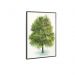 Quadro Decorativo Barcelona Arvore Png 40x50 cm 