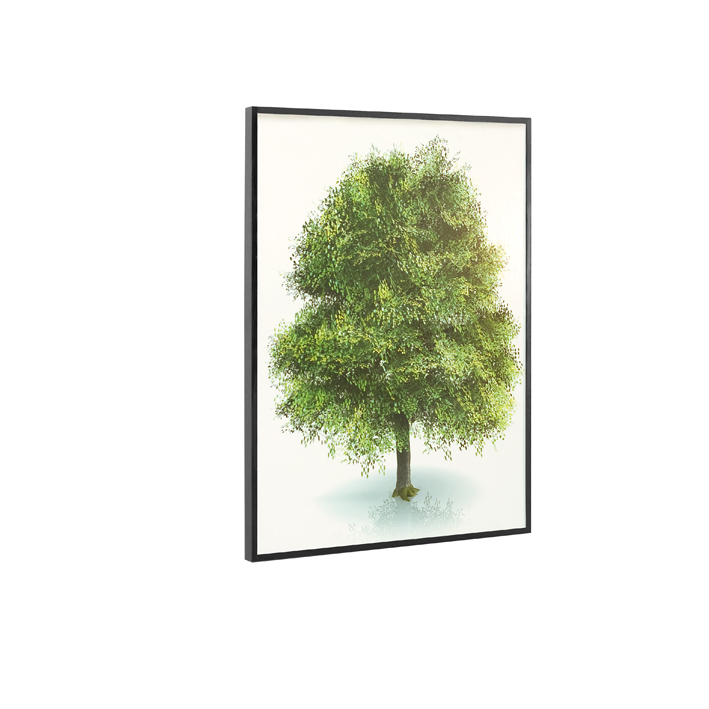 Quadro Decorativo Barcelona Arvore Png 40x50 cm 