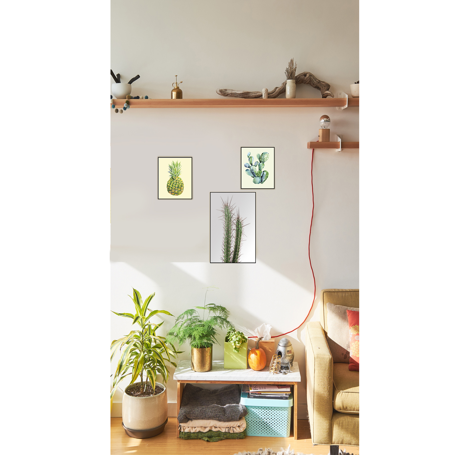 Quadro Decorativo Barcelona Cacto Cereus 40x50 cm 