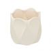 Cachepot Decorativo Espressione II Creme