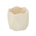 Cachepot Decorativo Espressione III Creme