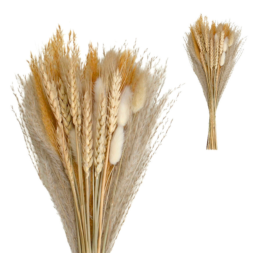 Galho Decorativo Bege e Branco