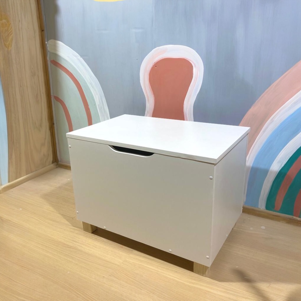 Baú de Brinquedos Organizador
