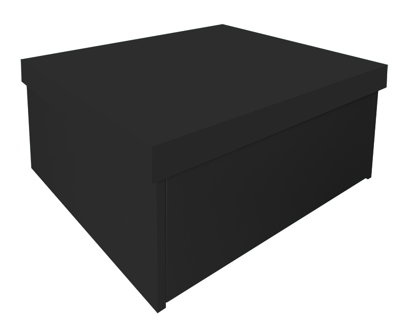Sapateira Box Baú Caixa Organizadora para Sapatos - Preto Laca