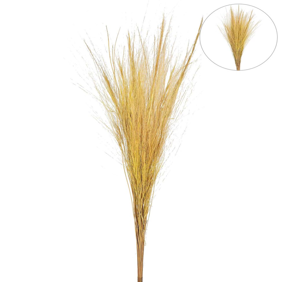 Capim Decorativo Barba de Bode Bege
