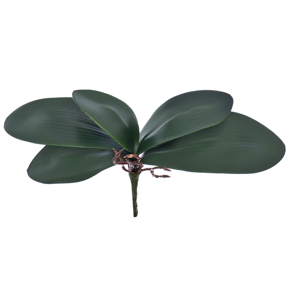 Folha Decorativa Orquídea Verde