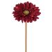 Haste Decorativa Gerbera Outonada Vinho