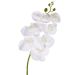 Haste Decorativa Orquídea Branca