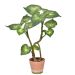Planta Decorativa Folhas Toque Real Verde