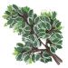 12 Ramos Decoração Arranjo Ficus Artificial Planta Decorativa Plástico 14 Galhos Cada 55cm