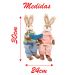 Casal de Coelhos em Palha Sentados Lendo Decoração 30cm