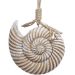 Enfeite Decorativo Concha Caracol De Madeira Casa Praia 21cm