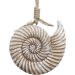 Enfeite Decorativo Concha Caracol De Madeira Casa Praia 21cm