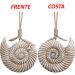 Enfeite Decorativo Concha Caracol De Madeira Casa Praia 21cm