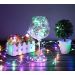 Fio De Fada 100 Lâmpadas Led Cordão Luz Colorida 10 Metros