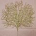 Flores Algas Coral Natalino Gliter Dourado 40x50cm Kit 6pçs