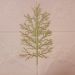 Folhas Flores Enfeite Natal Gliter Dourado De 40cm Kit 4pçs