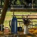 Garrafa Térmica De Mesa Roma Tradição Azul 1L Chá Chimarrão