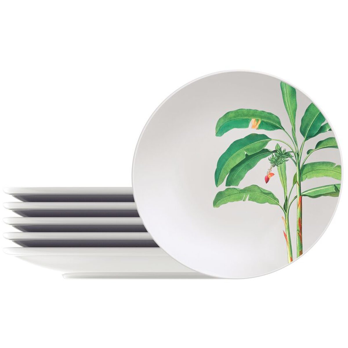 Jogo Pratos Sobremesa Lanche 8 Pessoas 8Pçs Graziela 19cm