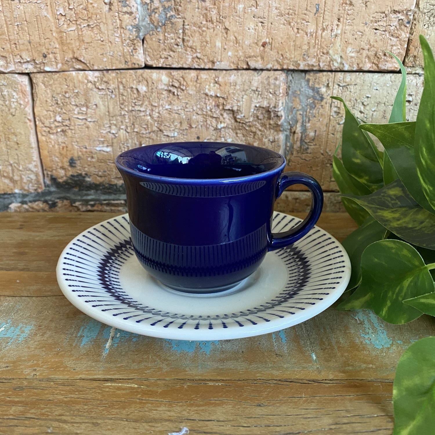 Kit 10 Xícara Biona Com Pires Cerâmica Vintage Cafezinho 65ml